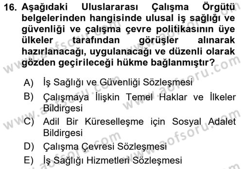 İş Sağlığı ve Güvenliği Dersi 2025 - 2026 Yılı (Final) Dönem Sonu Sınav Soruları 16. Soru