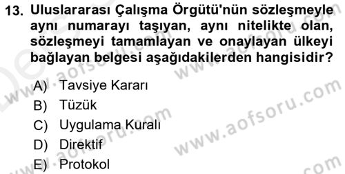 İş Sağlığı ve Güvenliği -x Dersi 2015 - 2016 Yılı Tek Ders Sınav Soruları 13. Soru
