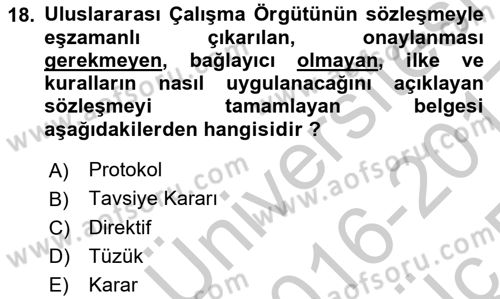 İş Sağlığı ve Güvenliği -x Dersi 2016 - 2017 Yılı 3 Ders Sınav Soruları 18. Soru