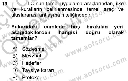 İş Sağlığı ve Güvenliği -x Dersi 2018 - 2019 Yılı Yaz Okulu Sınav Soruları 19. Soru