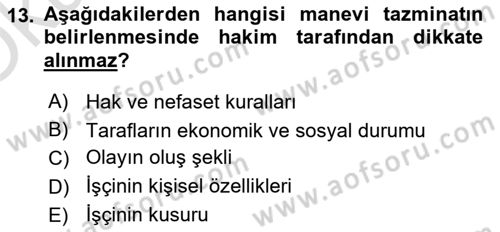 İş Sağlığı ve Güvenliği -x Dersi 2021 - 2022 Yılı Yaz Okulu Sınav Soruları 13. Soru