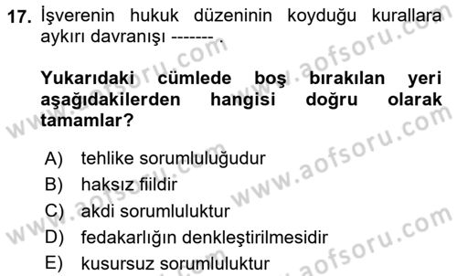 İş Sağlığı ve Güvenliği -x Dersi 2024 - 2025 Yılı (Vize) Ara Sınav Soruları 17. Soru