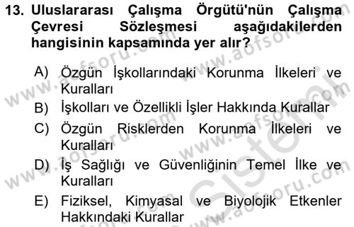 İş Sağlığı ve Güvenliği -x Dersi 2024 - 2025 Yılı (Final) Dönem Sonu Sınav Soruları 13. Soru