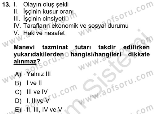 İş Sağlığı ve Güvenliği -x Dersi 2024 - 2025 Yılı Yaz Okulu Sınav Soruları 13. Soru