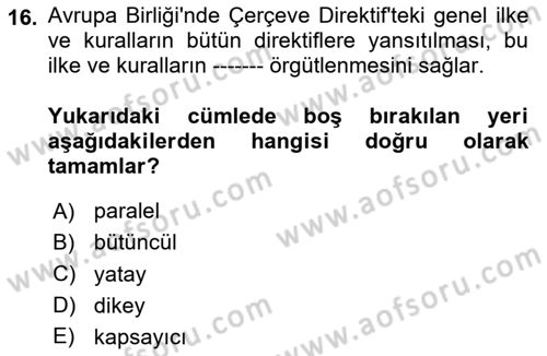 İş Sağlığı ve Güvenliği -x Dersi 2024 - 2025 Yılı Yaz Okulu Sınav Soruları 16. Soru