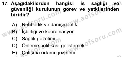 İş Sağlığı ve Güvenliği -x Dersi 2024 - 2025 Yılı Yaz Okulu Sınav Soruları 17. Soru