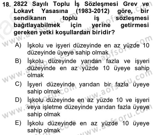 Çalışma İlişkileri Tarihi Dersi 2017 - 2018 Yılı 3 Ders Sınav Soruları 18. Soru