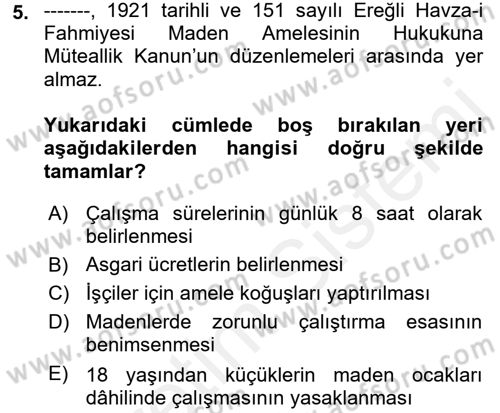 Çalışma İlişkileri Tarihi Dersi 2017 - 2018 Yılı 3 Ders Sınav Soruları 5. Soru