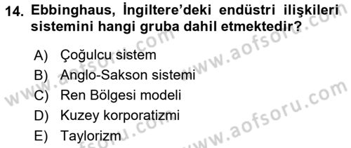 Çalışma İlişkileri Tarihi Dersi 2018 - 2019 Yılı 3 Ders Sınavı 14. Soru