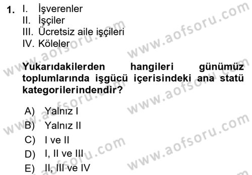 Çalışma İlişkileri Tarihi Dersi Ara Sınavı Deneme Sınav Soruları 1. Soru