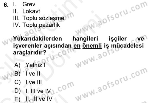 Çalışma İlişkileri Tarihi Dersi 2018 - 2019 Yılı (Vize) Ara Sınav Soruları 6. Soru