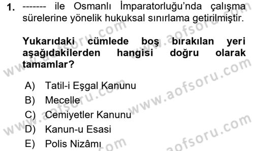 Çalışma İlişkileri Tarihi Dersi 2018 - 2019 Yılı Yaz Okulu Sınav Soruları 1. Soru