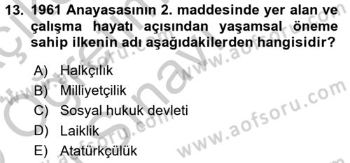 Çalışma İlişkileri Tarihi Dersi 2018 - 2019 Yılı Yaz Okulu Sınav Soruları 13. Soru