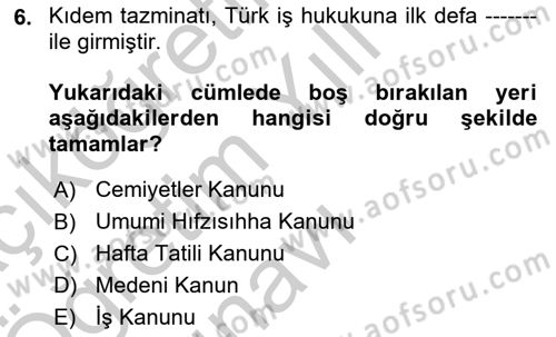 Çalışma İlişkileri Tarihi Dersi 2018 - 2019 Yılı Yaz Okulu Sınav Soruları 6. Soru