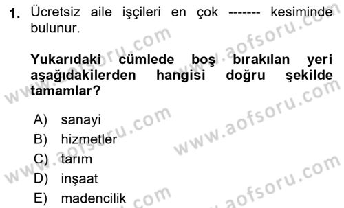 Çalışma İlişkileri Tarihi Dersi Ara Sınavı Deneme Sınav Soruları 1. Soru