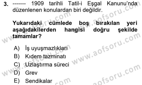 Çalışma İlişkileri Tarihi Dersi 2019 - 2020 Yılı (Final) Dönem Sonu Sınav Soruları 3. Soru