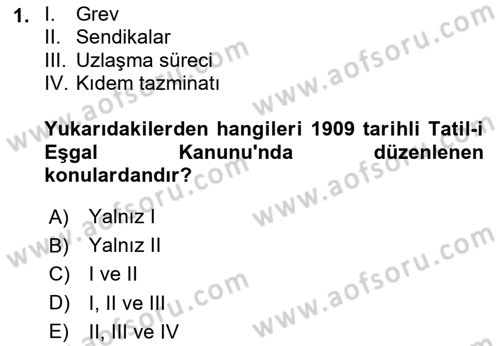 Çalışma İlişkileri Tarihi Dersi 2020 - 2021 Yılı Yaz Okulu Sınavı 1. Soru