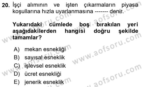 Çalışma İlişkileri Tarihi Dersi 2020 - 2021 Yılı Yaz Okulu Sınav Soruları 20. Soru