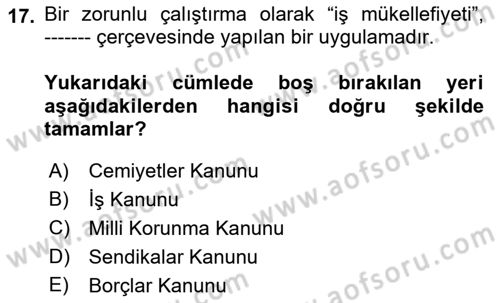 Çalışma İlişkileri Tarihi Dersi Ara Sınavı Deneme Sınav Soruları 17. Soru