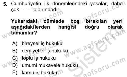 Çalışma İlişkileri Tarihi Dersi 2021 - 2022 Yılı Yaz Okulu Sınav Soruları 5. Soru