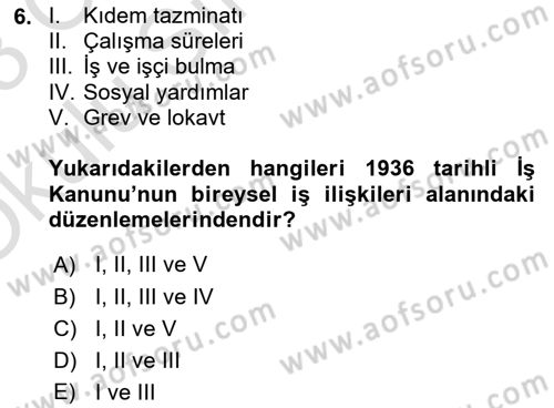 Çalışma İlişkileri Tarihi Dersi 2022 - 2023 Yılı Yaz Okulu Sınav Soruları 6. Soru