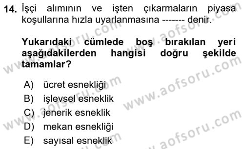 Çalışma İlişkileri Tarihi Dersi 2023 - 2024 Yılı (Final) Dönem Sonu Sınav Soruları 14. Soru