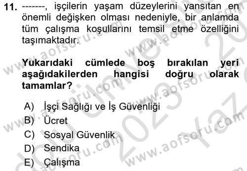 Çalışma İlişkileri Tarihi Dersi 2023 - 2024 Yılı Yaz Okulu Sınav Soruları 11. Soru