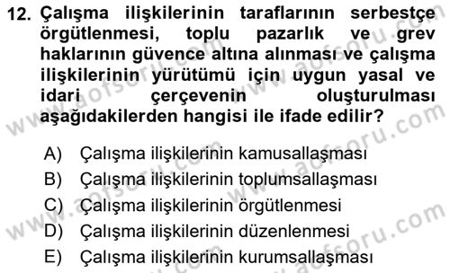 Çalışma İlişkileri Tarihi Dersi 2023 - 2024 Yılı Yaz Okulu Sınav Soruları 12. Soru