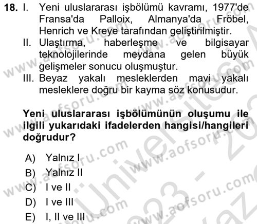 Çalışma İlişkileri Tarihi Dersi 2023 - 2024 Yılı Yaz Okulu Sınav Soruları 18. Soru