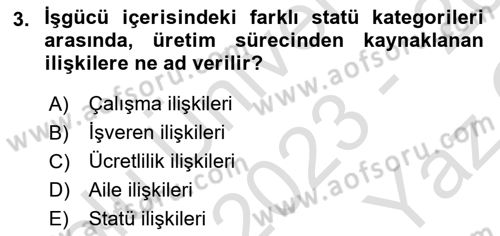 Çalışma İlişkileri Tarihi Dersi 2023 - 2024 Yılı Yaz Okulu Sınav Soruları 3. Soru