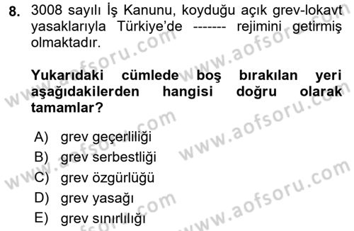 Çalışma İlişkileri Tarihi Dersi 2023 - 2024 Yılı Yaz Okulu Sınav Soruları 8. Soru