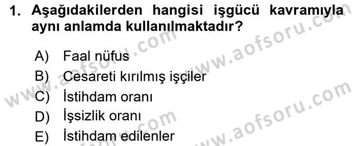 Çalışma İlişkileri Tarihi Dersi Ara Sınavı Deneme Sınav Soruları 1. Soru