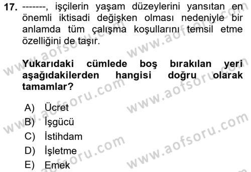 Çalışma İlişkileri Tarihi Dersi 2024 - 2025 Yılı (Vize) Ara Sınavı 17. Soru