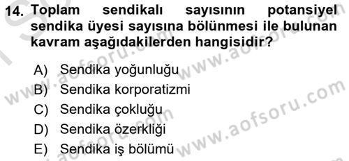 Çalışma İlişkileri Tarihi Dersi 2024 - 2025 Yılı (Final) Dönem Sonu Sınav Soruları 14. Soru