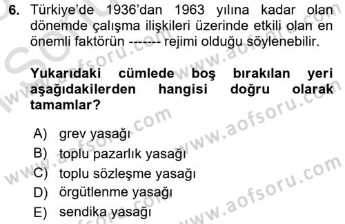 Çalışma İlişkileri Tarihi Dersi 2024 - 2025 Yılı (Final) Dönem Sonu Sınav Soruları 6. Soru