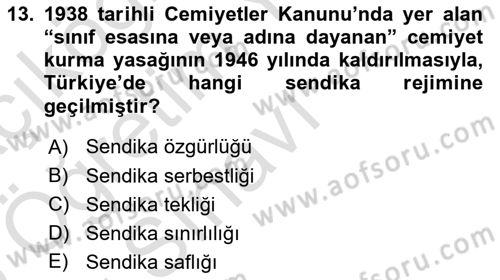 Çalışma İlişkileri Tarihi Dersi 2024 - 2025 Yılı Yaz Okulu Sınav Soruları 13. Soru