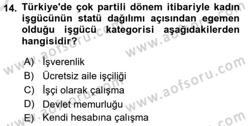 Çalışma İlişkileri Tarihi Dersi 2024 - 2025 Yılı Yaz Okulu Sınav Soruları 14. Soru