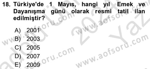 Çalışma İlişkileri Tarihi Dersi 2024 - 2025 Yılı Yaz Okulu Sınav Soruları 18. Soru