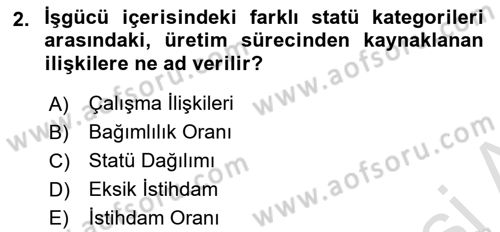 Çalışma İlişkileri Tarihi Dersi 2024 - 2025 Yılı Yaz Okulu Sınav Soruları 2. Soru