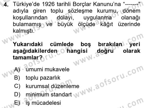 Çalışma İlişkileri Tarihi Dersi 2024 - 2025 Yılı Yaz Okulu Sınav Soruları 4. Soru
