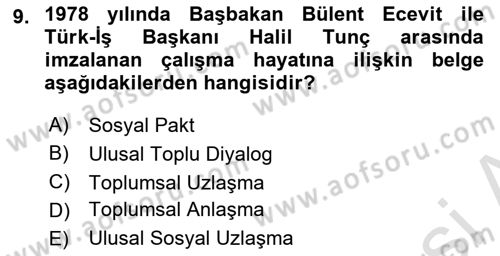 Çalışma İlişkileri Tarihi Dersi 2024 - 2025 Yılı Yaz Okulu Sınav Soruları 9. Soru