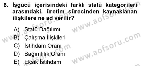 Çalışma İlişkileri Tarihi Dersi 2025 - 2026 Yılı (Vize) Ara Sınav Soruları 6. Soru