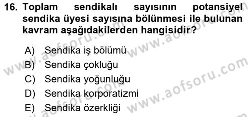 Çalışma İlişkileri Tarihi Dersi 2025 - 2026 Yılı Yaz Okulu Sınav Soruları 16. Soru