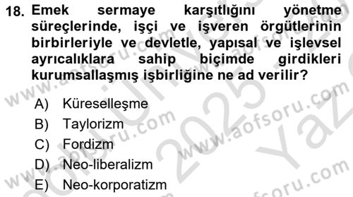 Çalışma İlişkileri Tarihi Dersi 2025 - 2026 Yılı Yaz Okulu Sınav Soruları 18. Soru