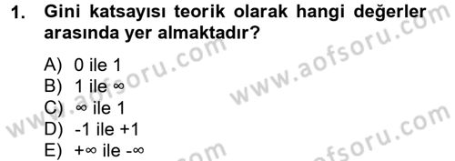 Gelir Dağılımı ve Yoksulluk Dersi 2012 - 2013 Yılı (Vize) Ara Sınav Soruları 1. Soru