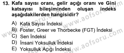 Gelir Dağılımı ve Yoksulluk Dersi 2012 - 2013 Yılı (Final) Dönem Sonu Sınav Soruları 13. Soru