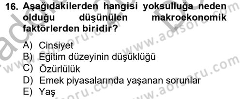 Gelir Dağılımı ve Yoksulluk Dersi 2012 - 2013 Yılı (Final) Dönem Sonu Sınav Soruları 16. Soru