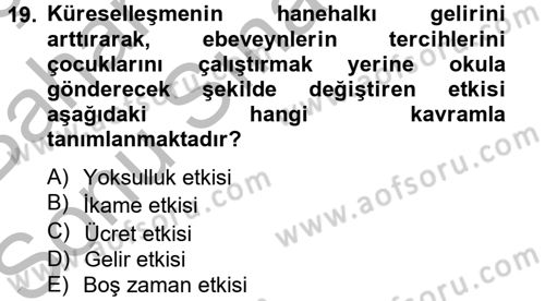 Gelir Dağılımı ve Yoksulluk Dersi 2012 - 2013 Yılı (Final) Dönem Sonu Sınav Soruları 19. Soru