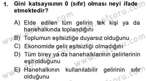 Gelir Dağılımı ve Yoksulluk Dersi 2013 - 2014 Yılı (Vize) Ara Sınav Soruları 1. Soru