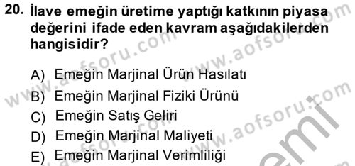 Gelir Dağılımı ve Yoksulluk Dersi 2013 - 2014 Yılı (Vize) Ara Sınav Soruları 20. Soru